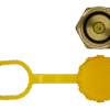 GRD-11048 Cap and Valve