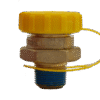 GRD-11048 Cap and Valve attached